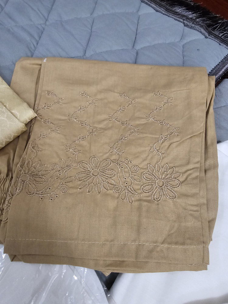 Pakistani outfits for Eid image indicator(6)