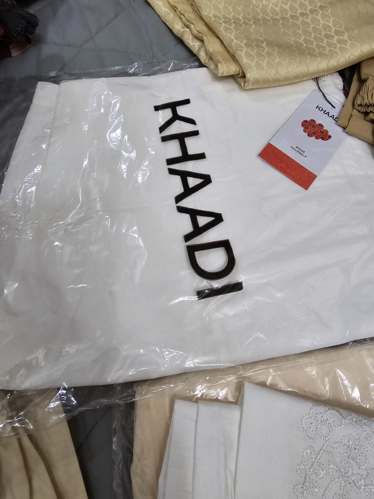 Pakistani outfits for Eid image indicator(7)