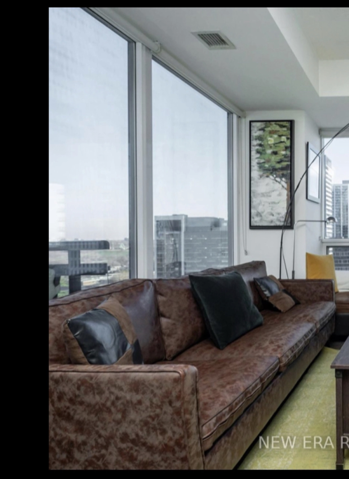 🛋️Structube Sofa:  leather + 4 cushions complimentary thumbnail
