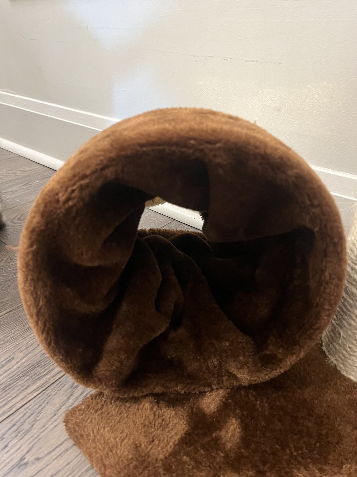 Cute cat scratch and play tunnel image indicator(6)