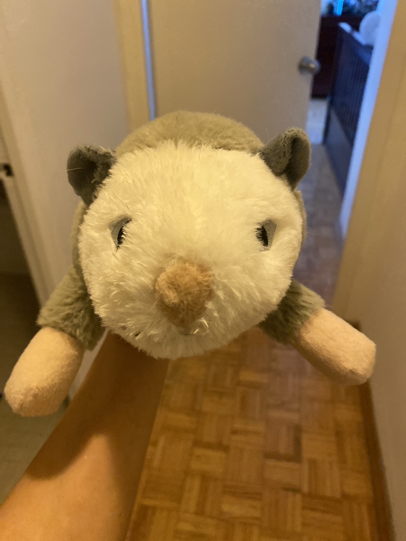 Free dog toy #freecycle - photo 2