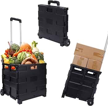 Life saver in NYC! Rolling cart with wheels