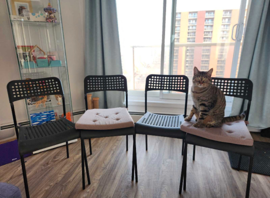 Moving Sale - Ikea Chairs, set of 4