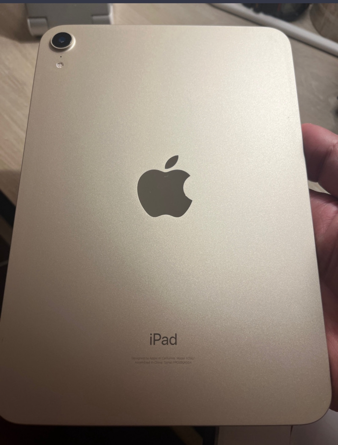 Ipad mini 6th 256gb starlight color