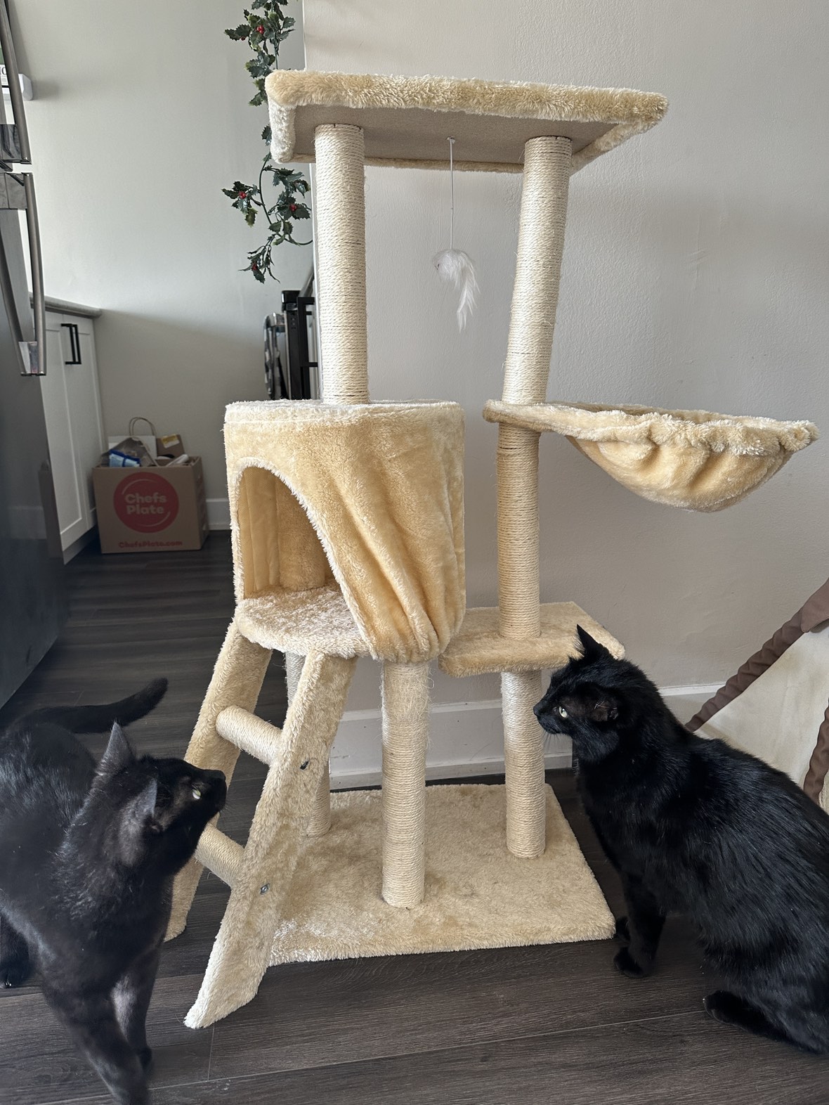Cat Tree