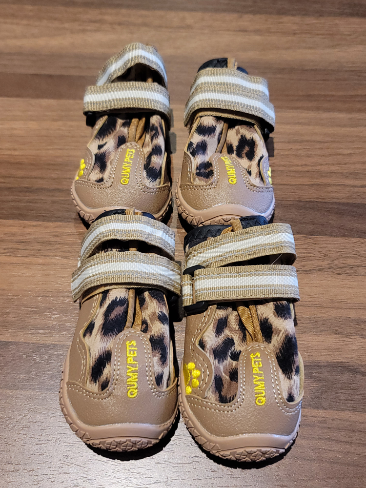 dog botties thumbnail