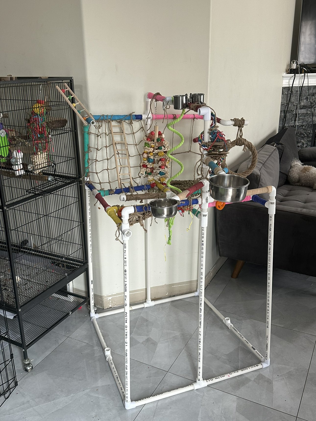 Bird play gym / parrot parrot stand
