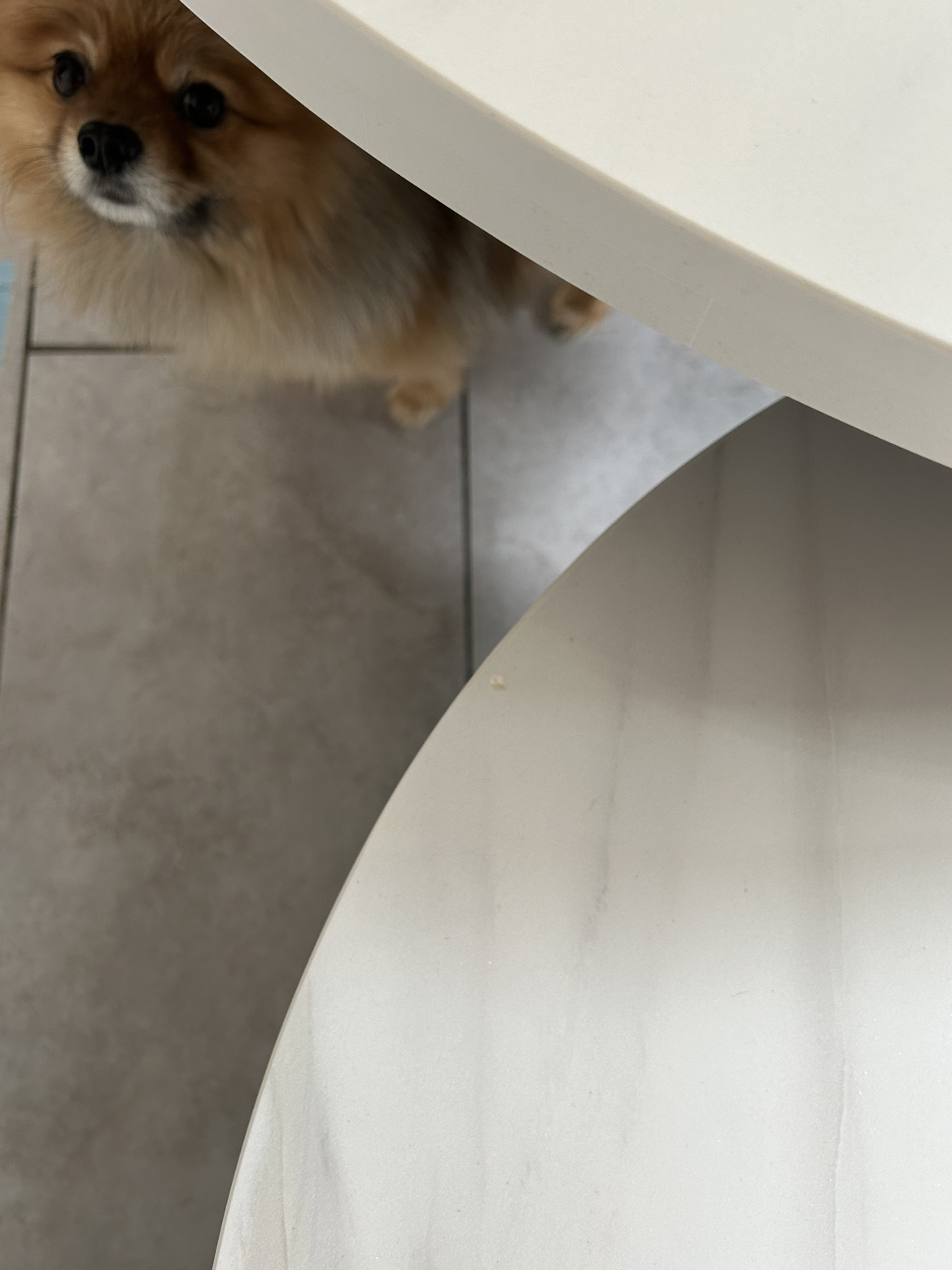 Elegant Nesting Round Coffee Tables (SOLD AT FB MARKETPLACE) - photo 2