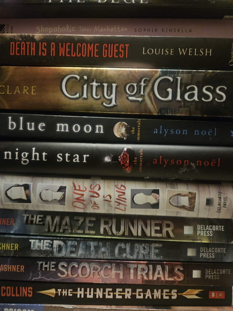 variety of books - photo 3