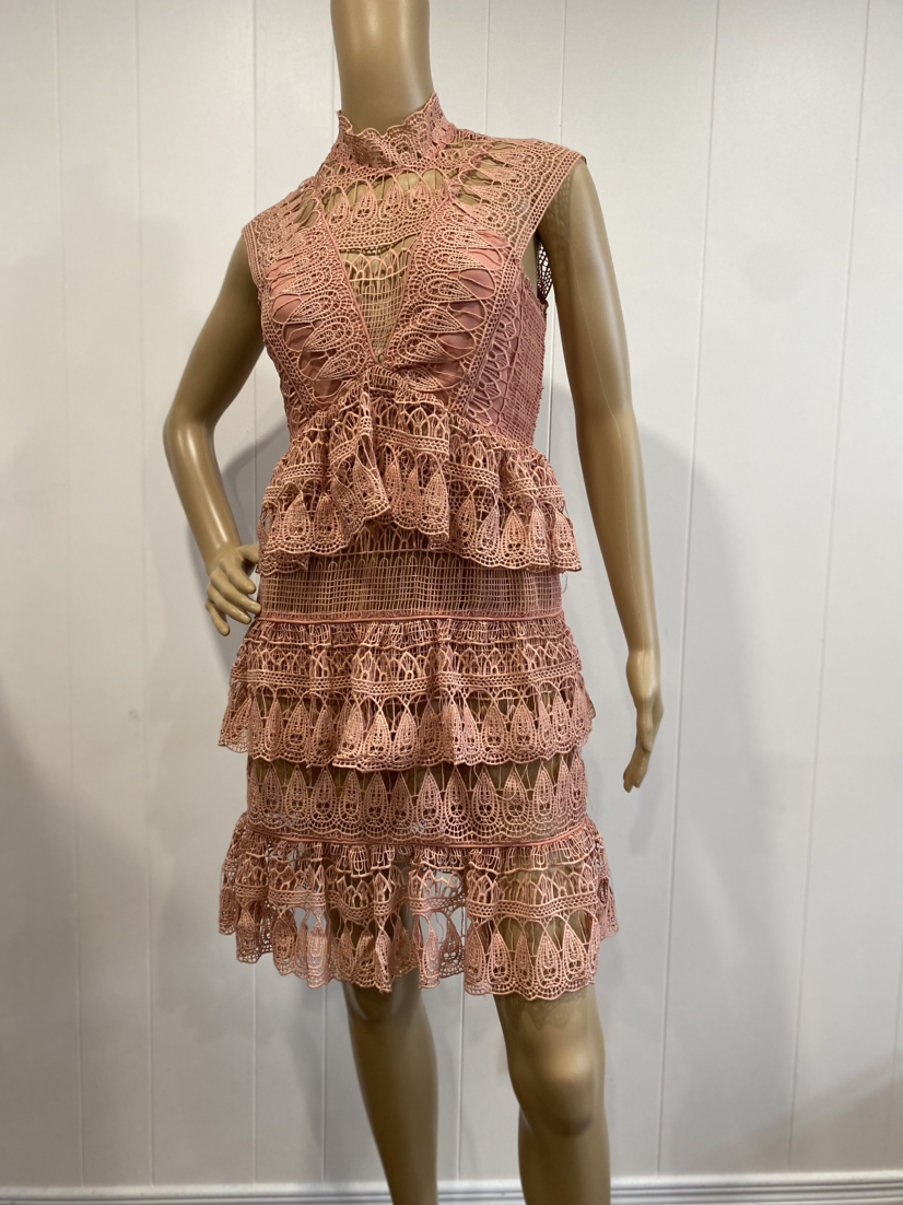 Pink Dress image indicator(3)