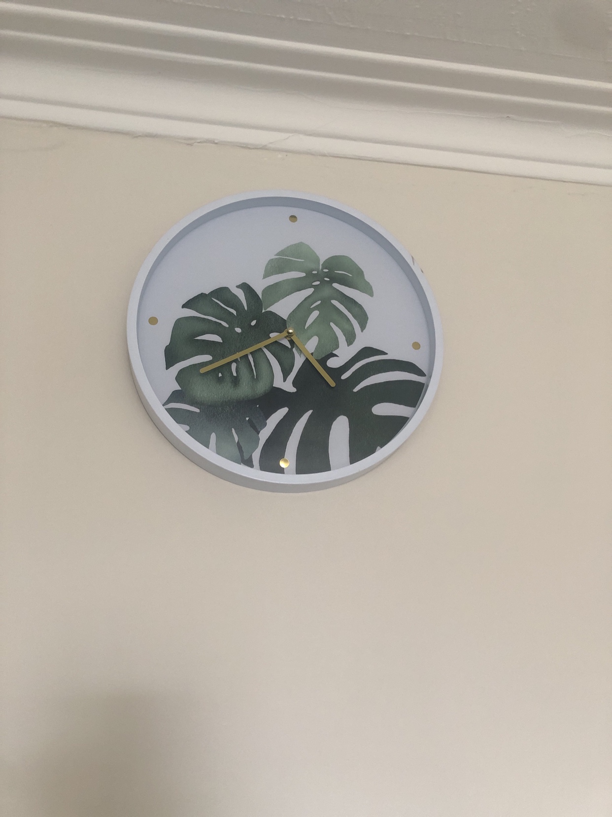 Clock 🥕 thumbnail