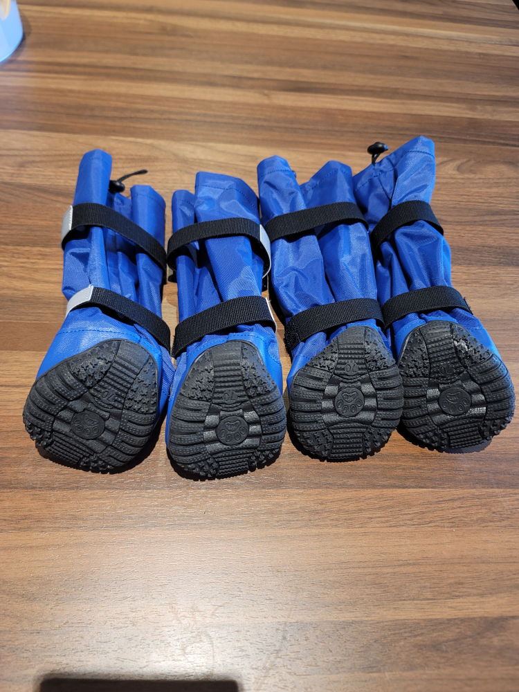 dog Botties image indicator(3)