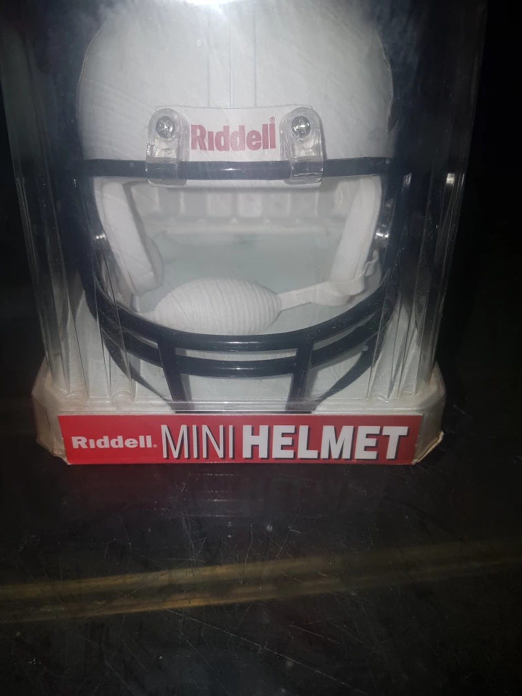 mini B C LIONS HELMET