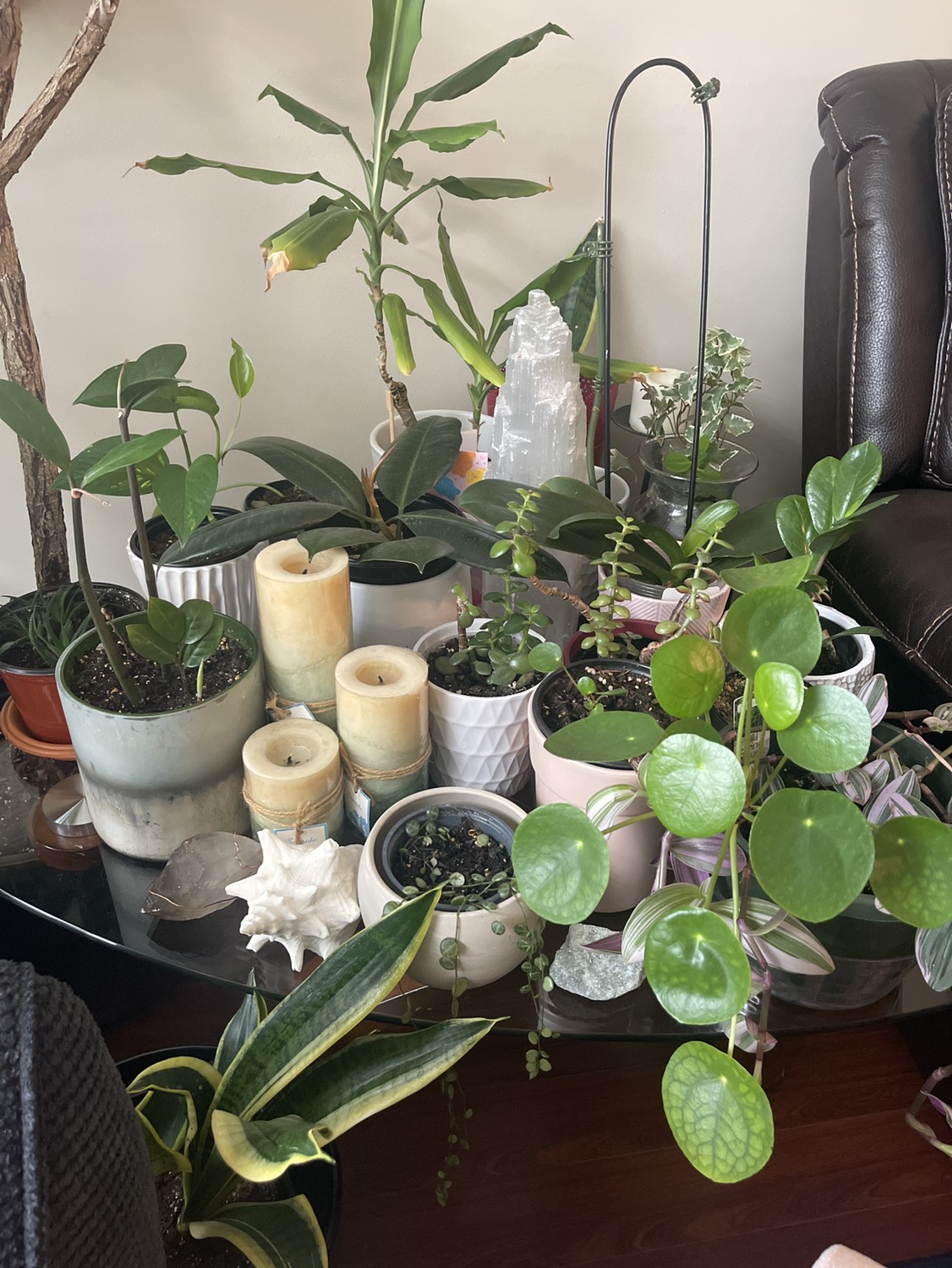 FREECYCLE image indicator(3)