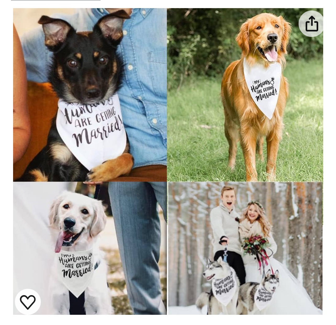 Dog Scarf; Wedding Scarf (NEW) image indicator(5)