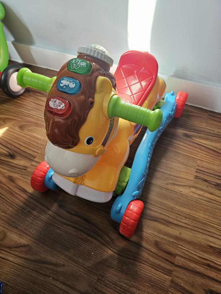 riding horse