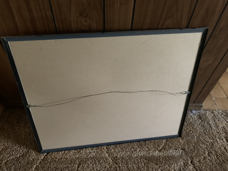 Vintage Framed 3D Hidden Illusion Art -Collectible-2 available image indicator(4)