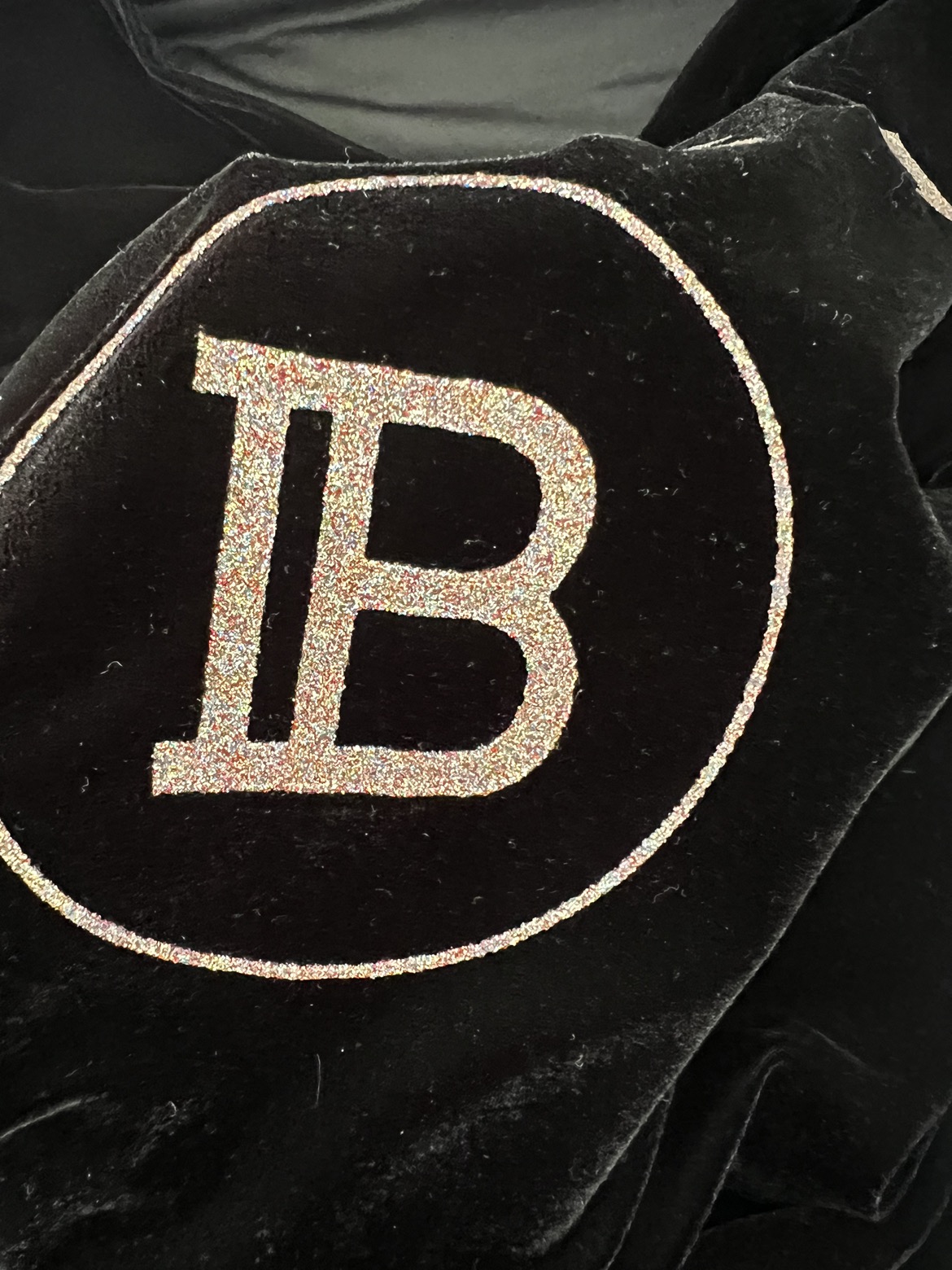BALMAIN velvet glittered logo image indicator(4)