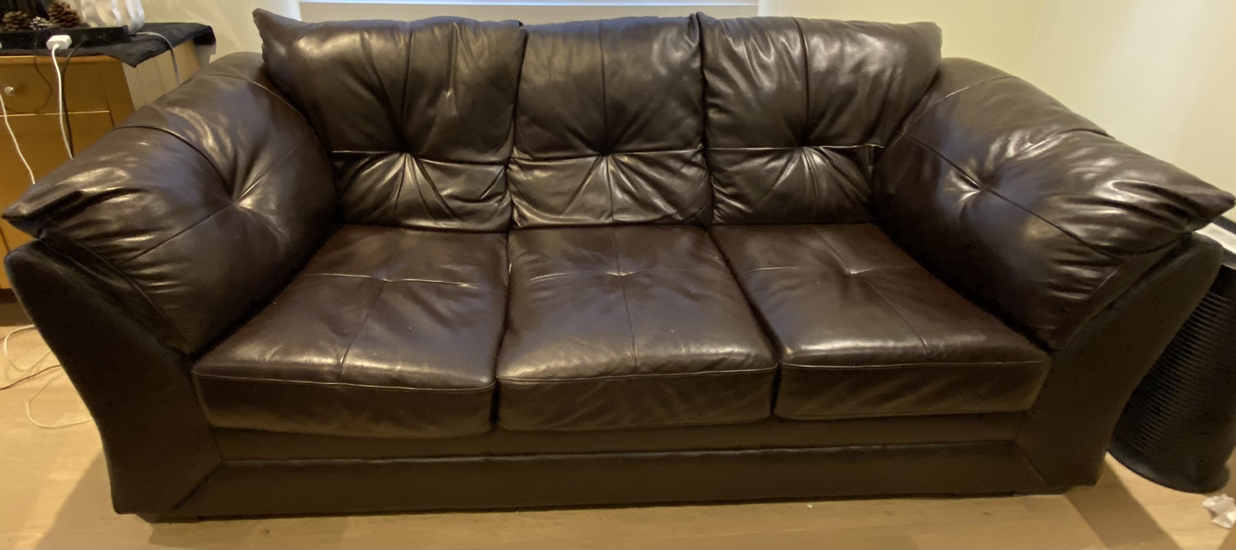 FREE leather sofa & loveseat with cleaning solution! image indicator(2)