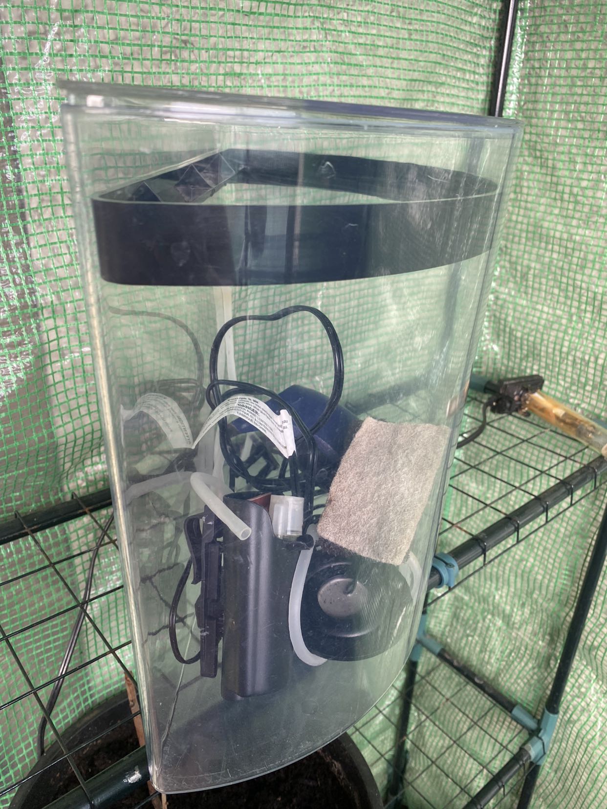 3 gallon Half moon shaped fish tank - photo 2