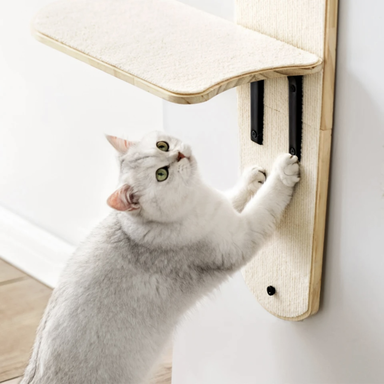 Cat Hanging Bed Pet Climbing Frame Cat Climbing Tree - photo 4