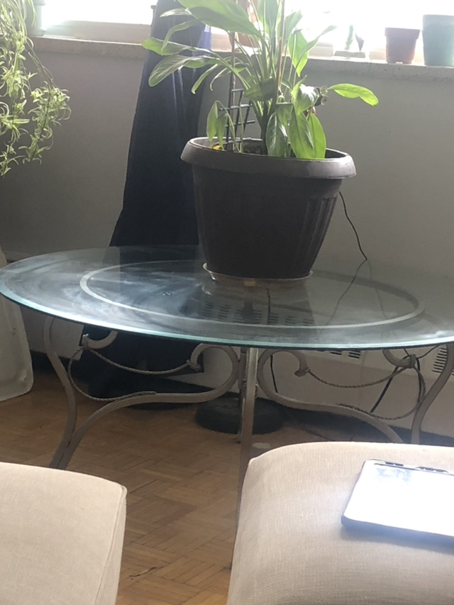 🥕 44” Glass Coffee Table