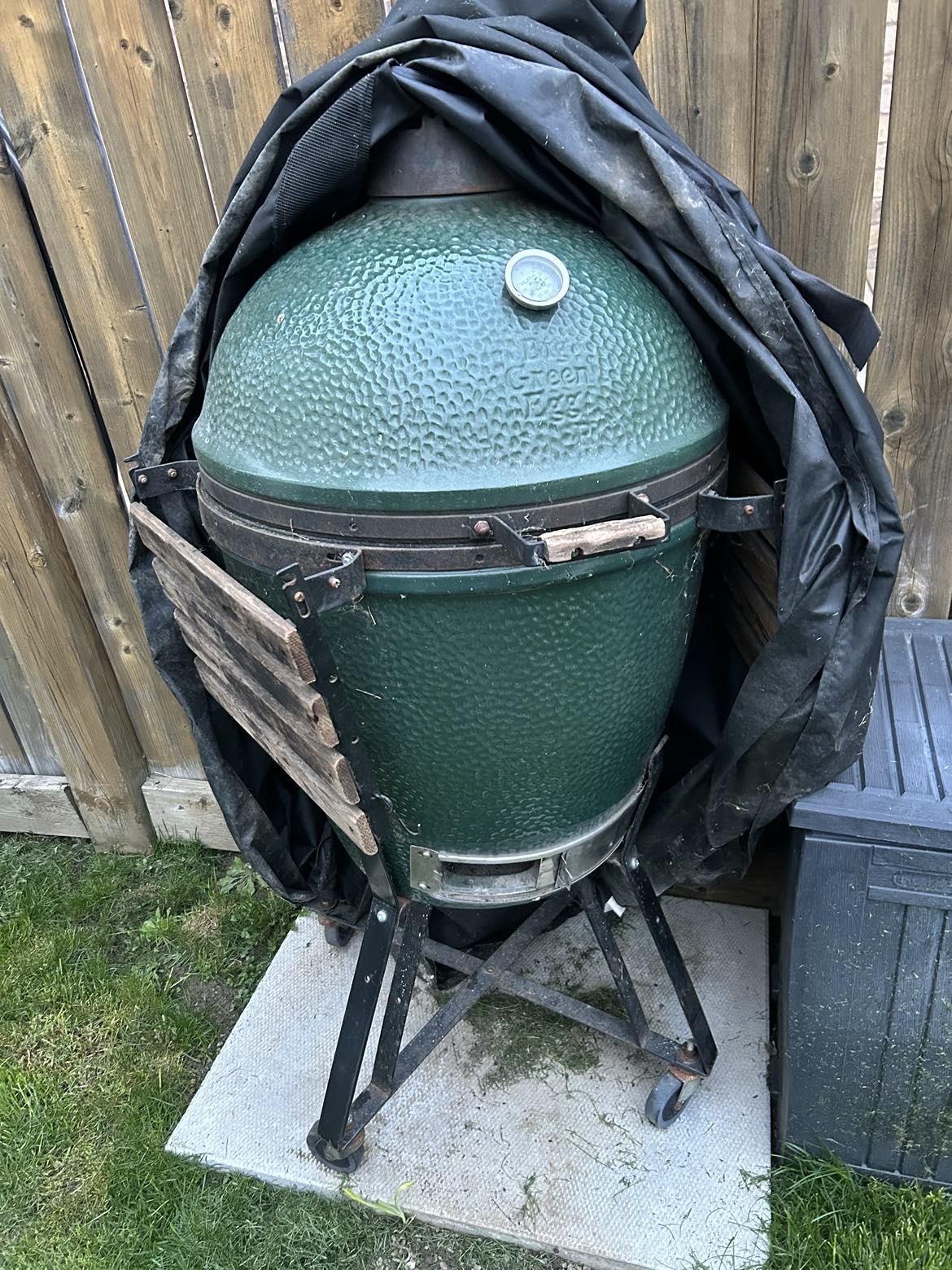 Large Big Green Egg smoker bbq