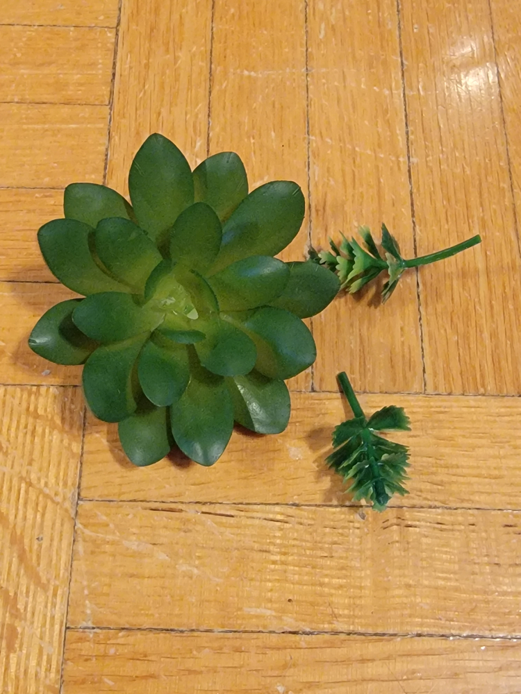 🥕Artificial Succulent plant and vase image indicator(5)