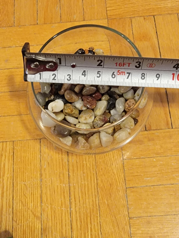 🥕Artificial Succulent plant and vase image indicator(7)