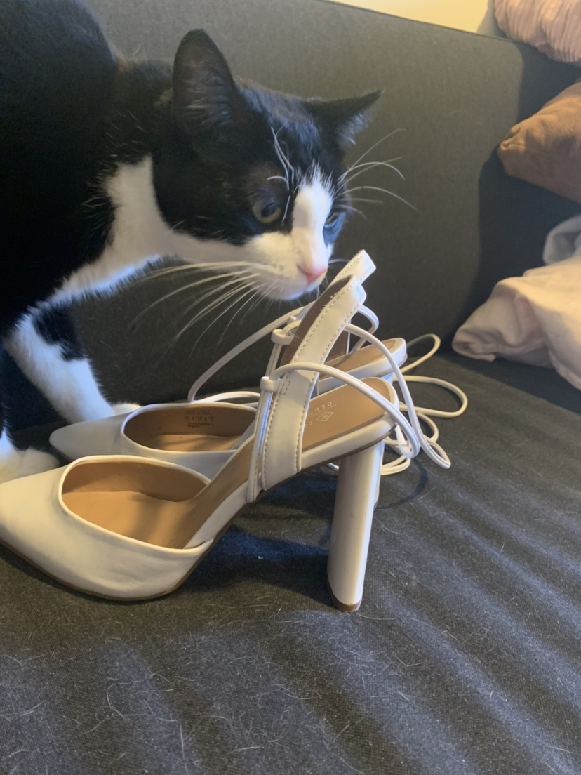 Call It Spring Heels - photo 3