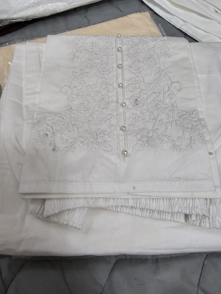 Pakistani outfits for Eid image indicator(8)