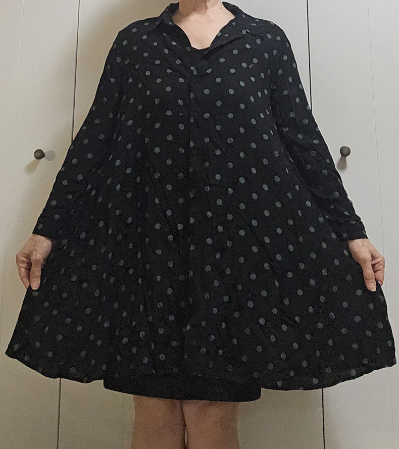 Zara spotted dress