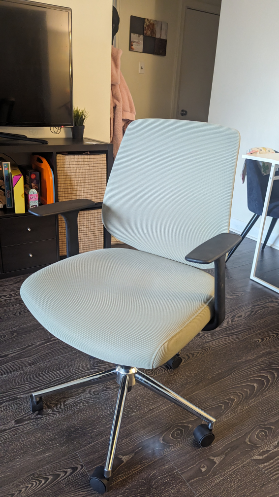 Ergonomic Office Chair