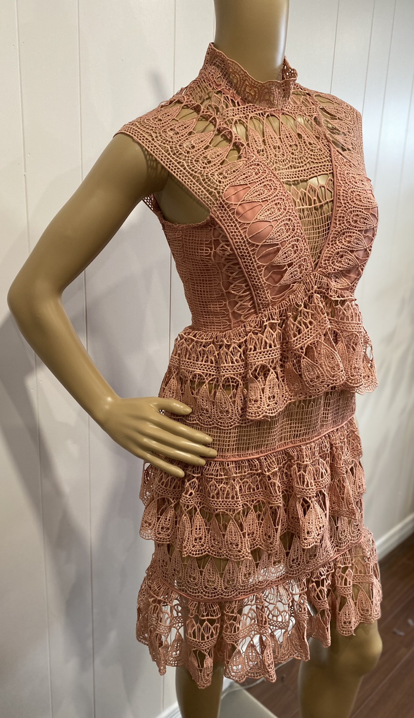 Pink Dress image indicator(4)