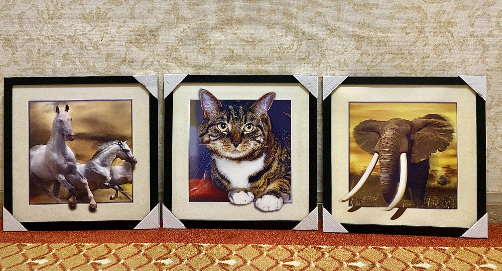 Lenticular 5D Effect Animated Photos. Framed. (3 available). thumbnail