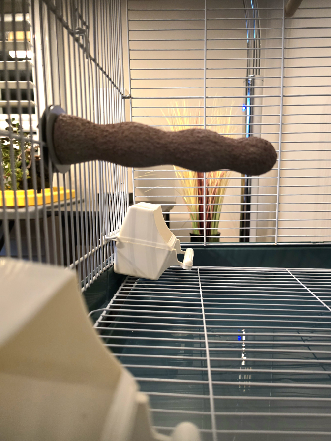 Prevue Medium Pagoda Roof BIRD CAGE w/ Stand, accessories 🥕 image indicator(8)