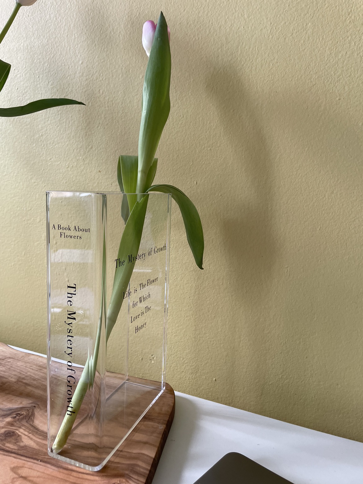 Book Flower Vase