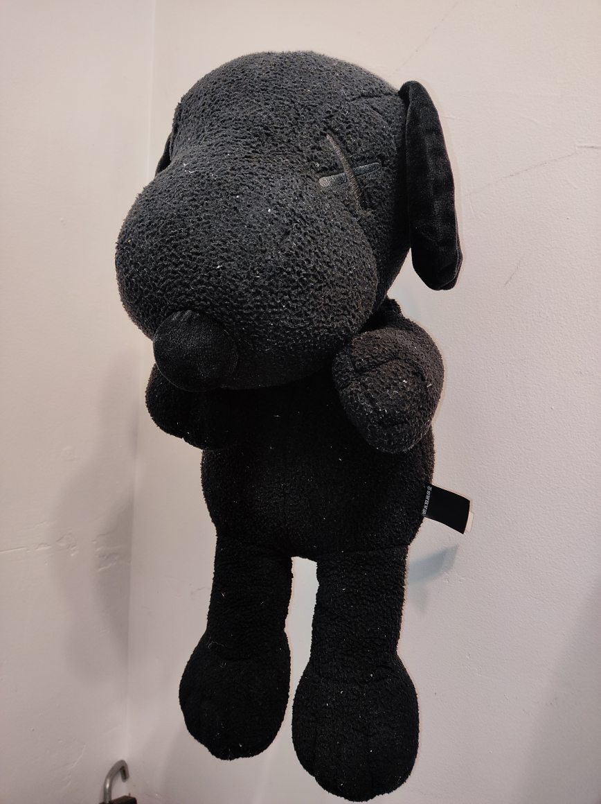 kaws peanuts thumbnail