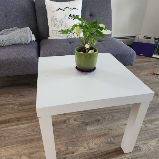 FREE - Moving Sale - White Coffee Table