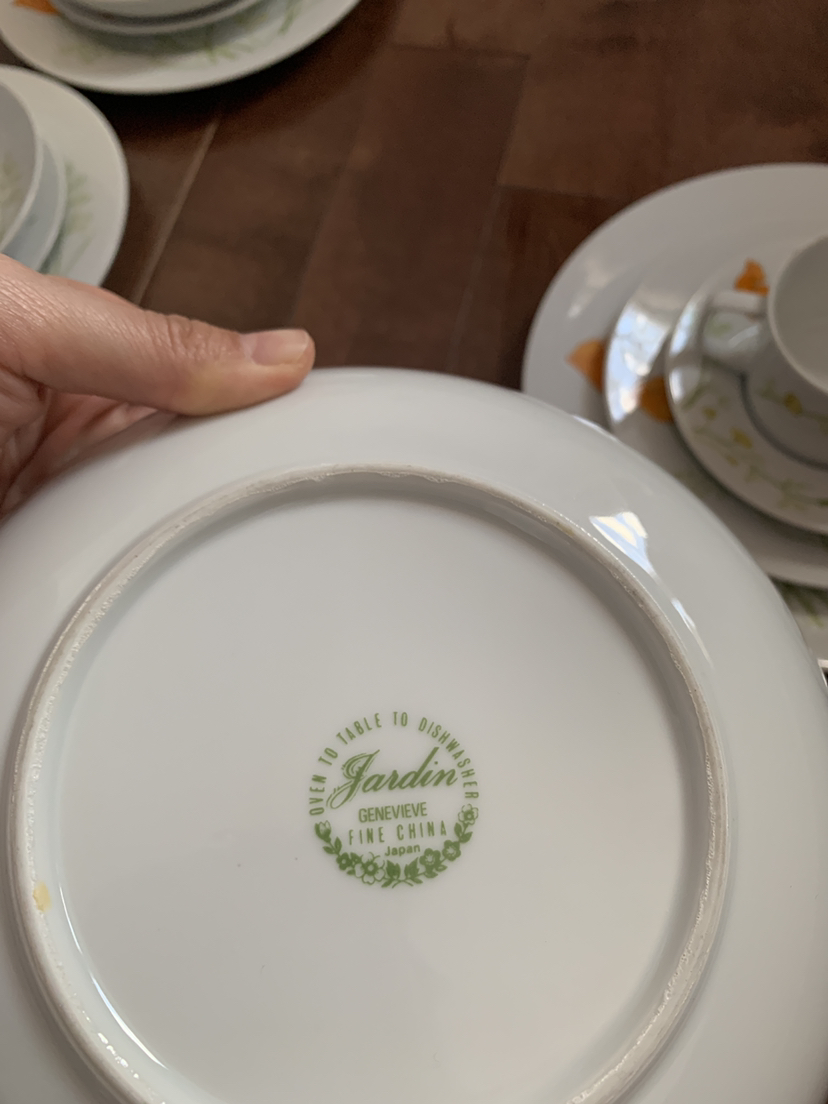 🥕Full Set: Jardin Genevieve fine china image indicator(2)