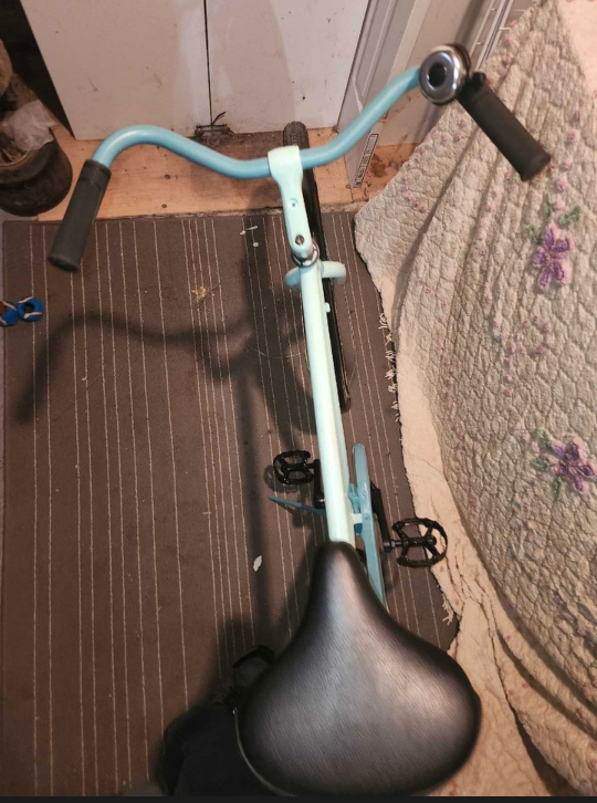 custom beach cruiser - photo 5