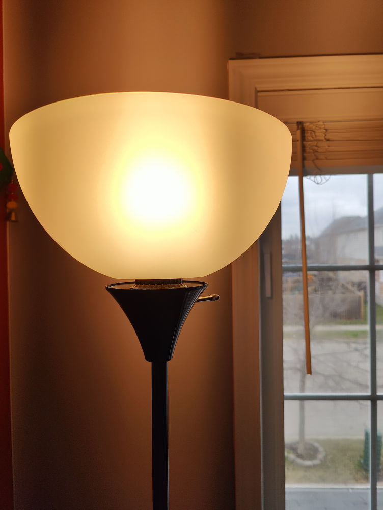 Floor Lamp (Tall) - Almost New - photo 3