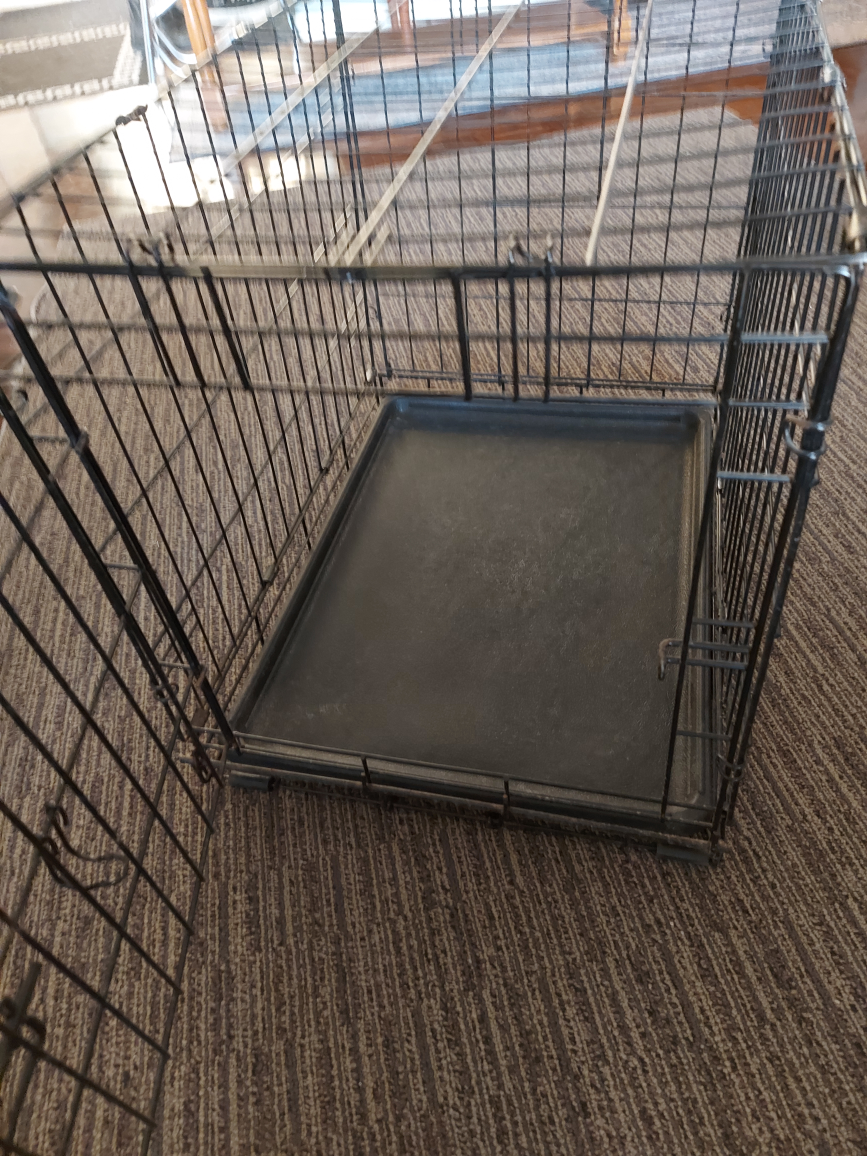 Small dog crate, collapses, removable tray 17" W x 24" L x 19" T image indicator(2)