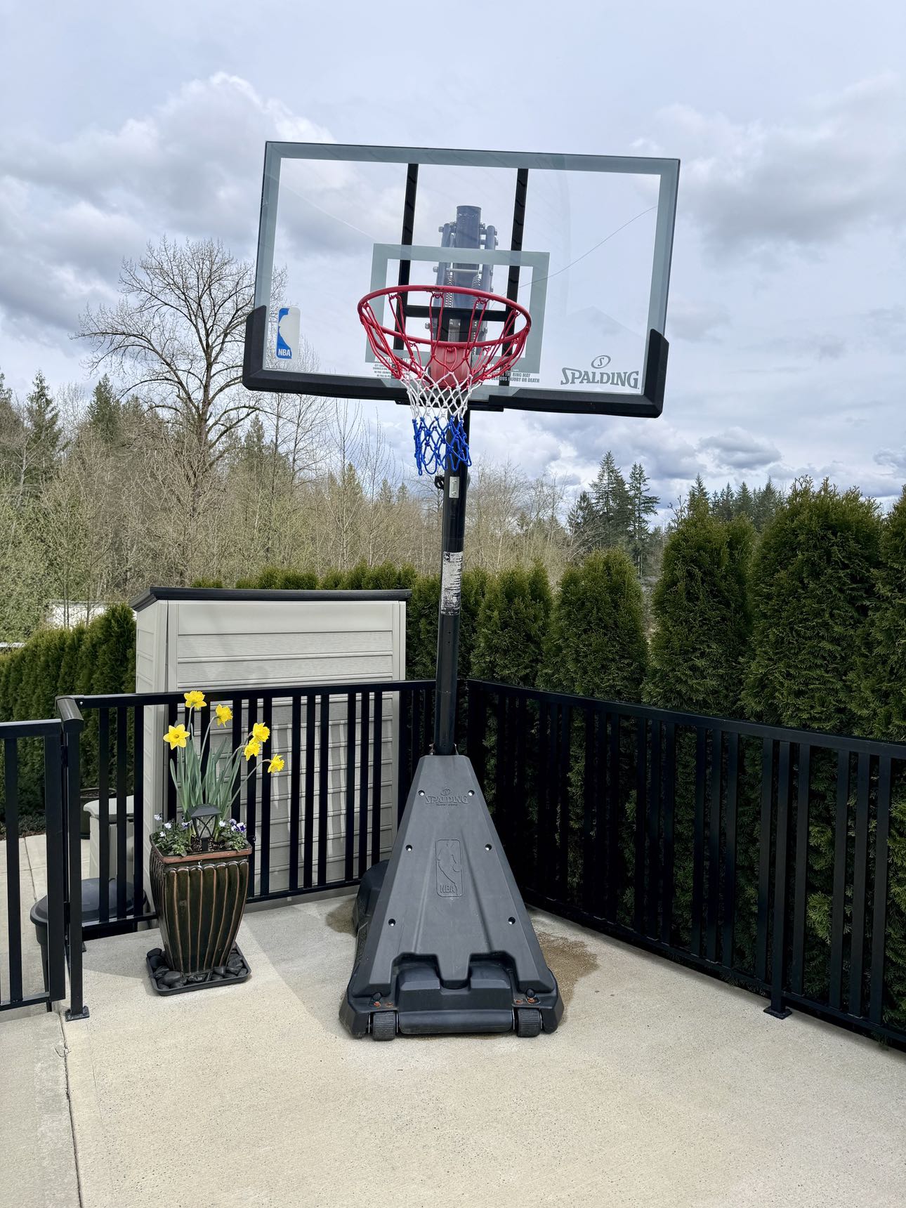 Basketball, Hoop & Net System - photo 2