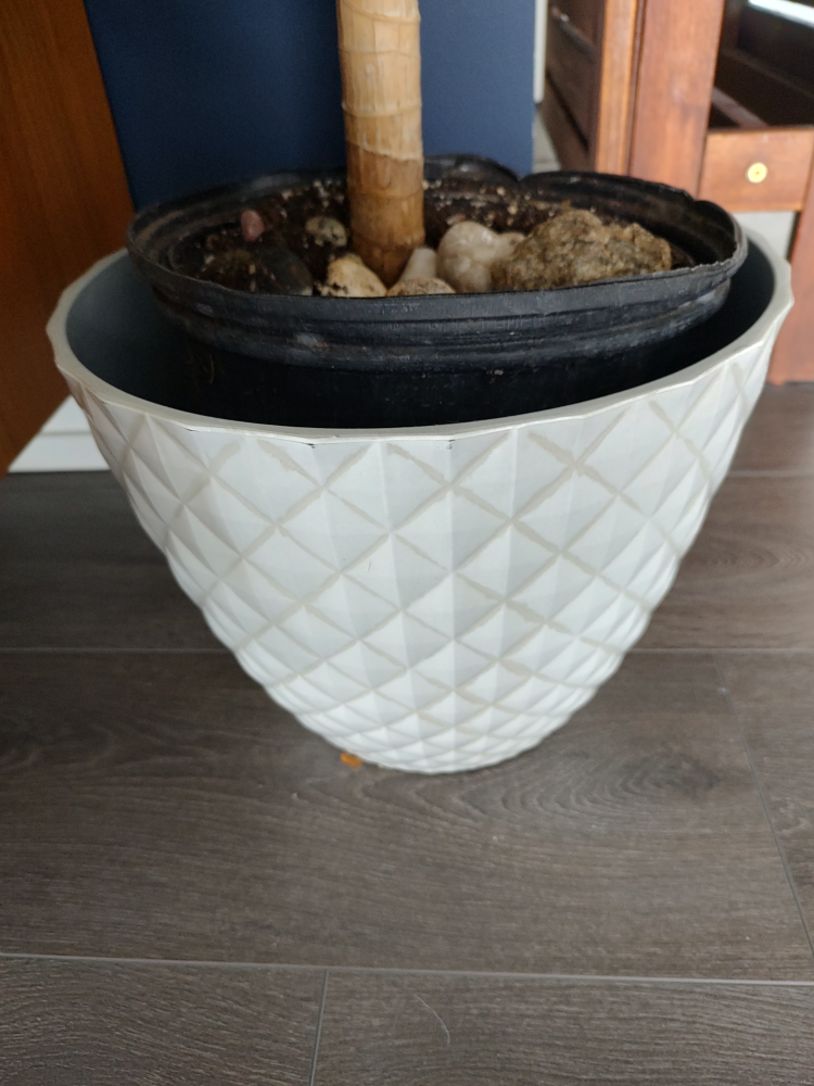 House Plant- 4.5 Feet Tall - photo 3
