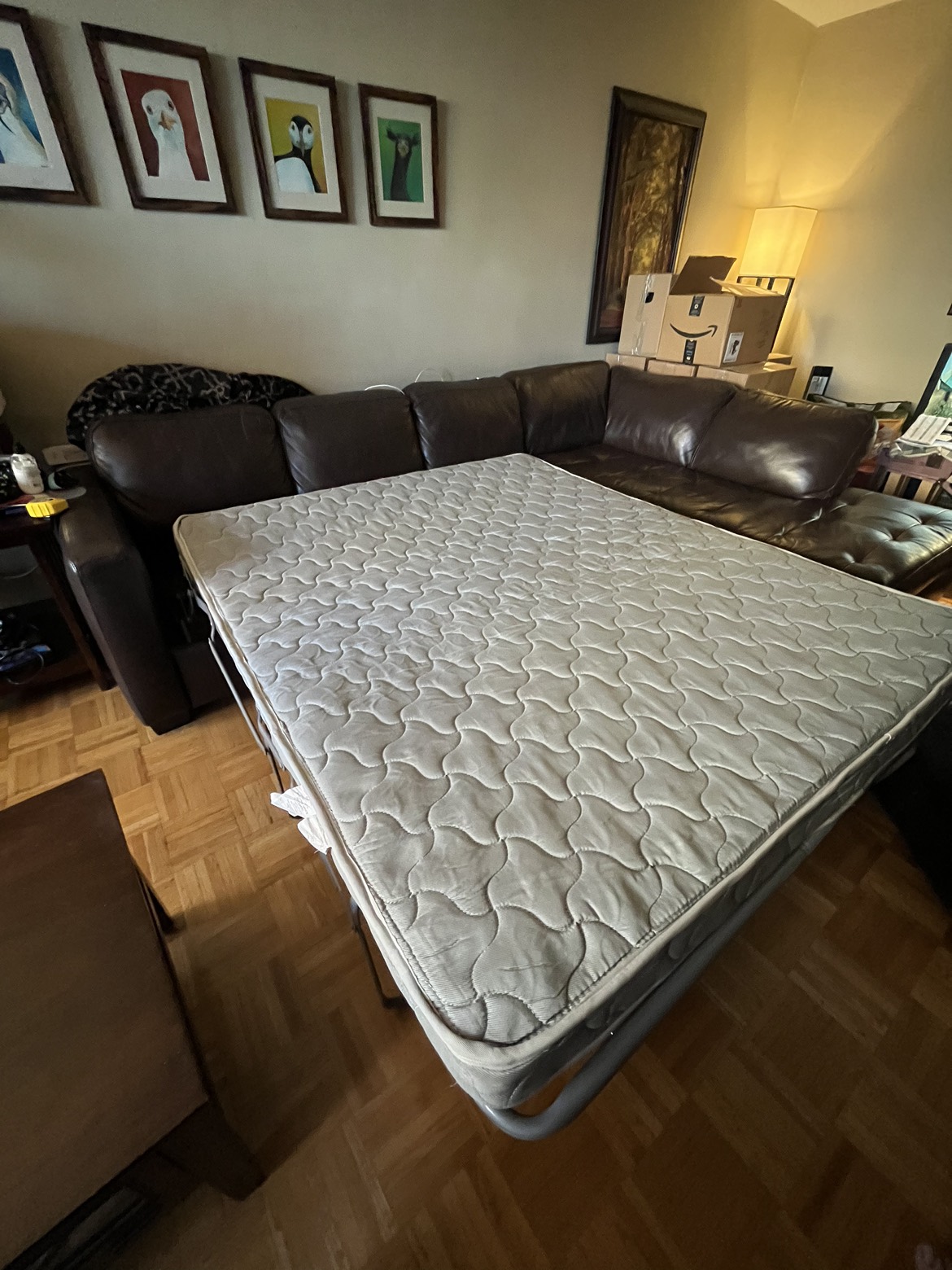 Genuine leather sectional couch with pull-out bed!! - photo 2