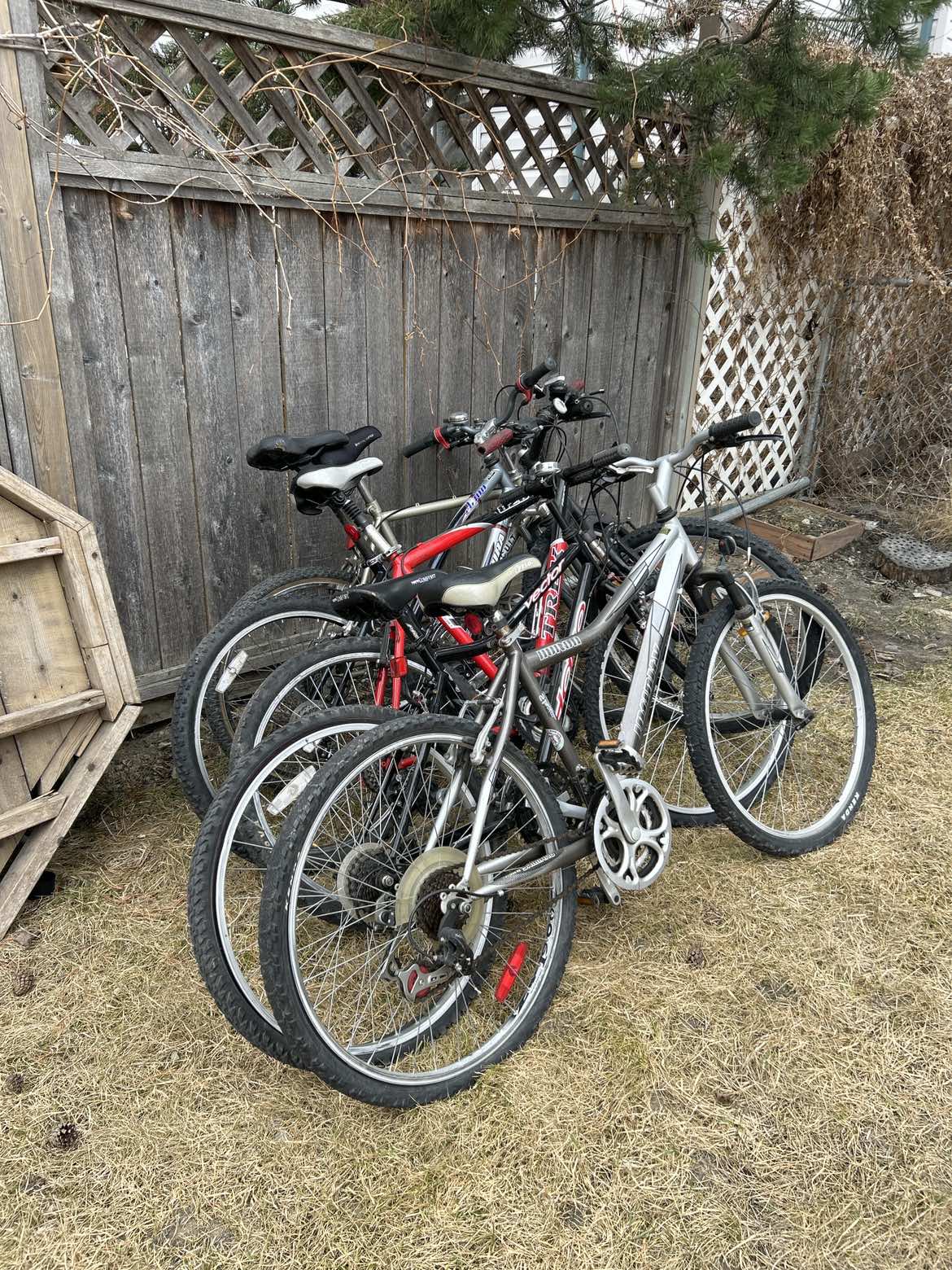 $100 for all bikes and $35 each