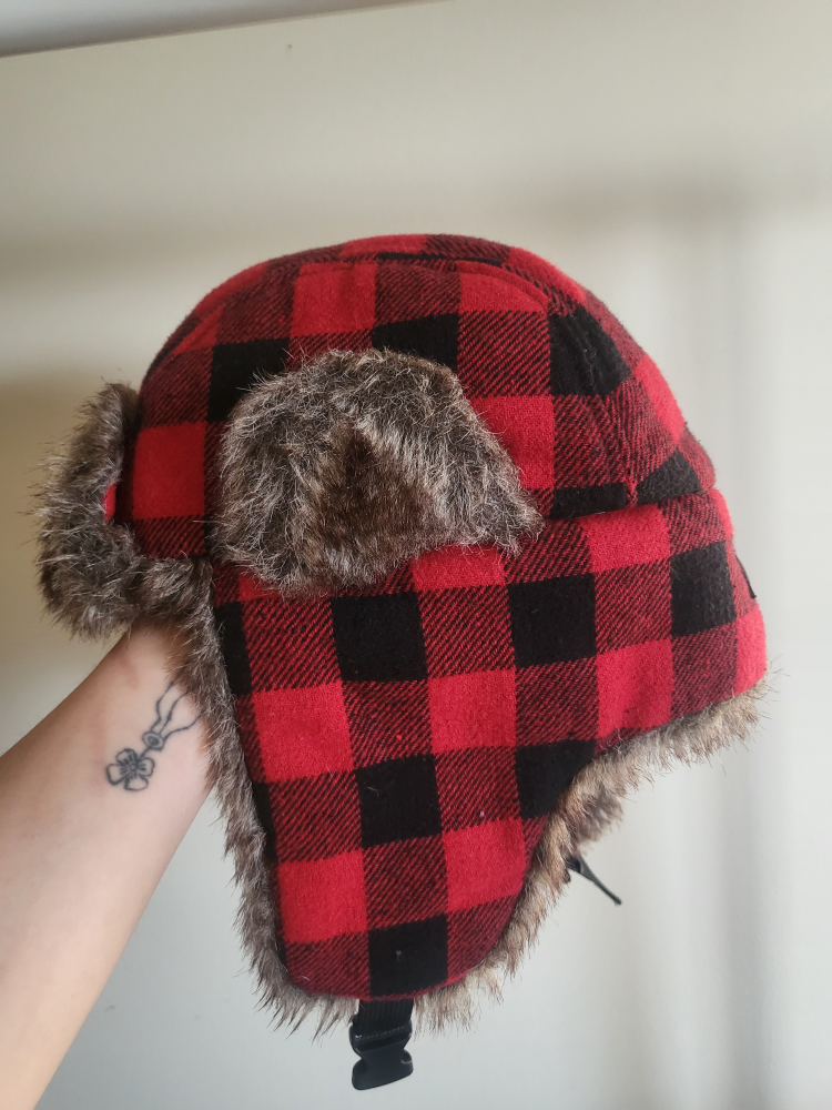 hat - photo 2