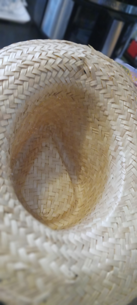 #FREECYCLE 1 cowboy style hats image indicator(6)