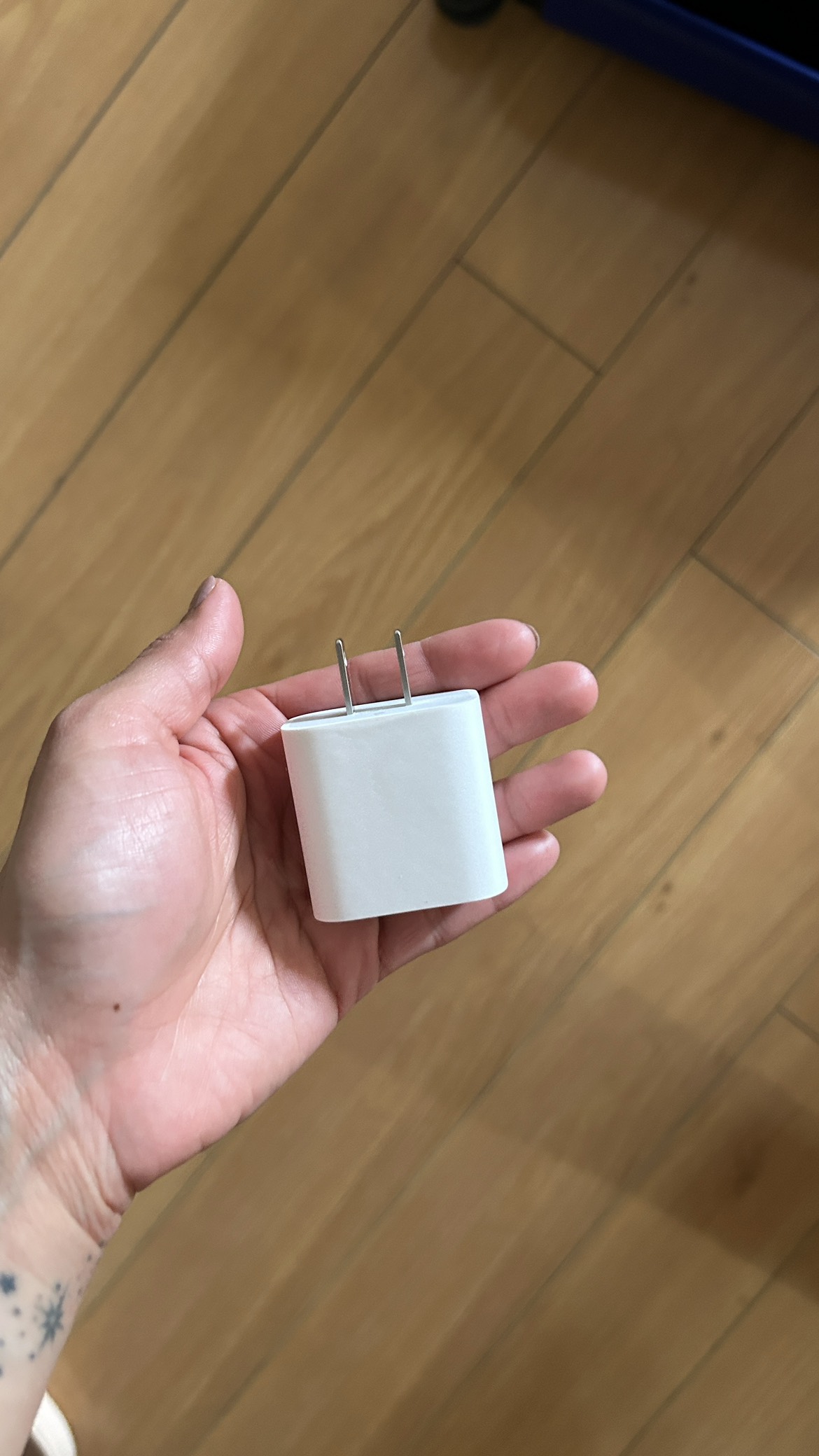 Original Apple fast charger